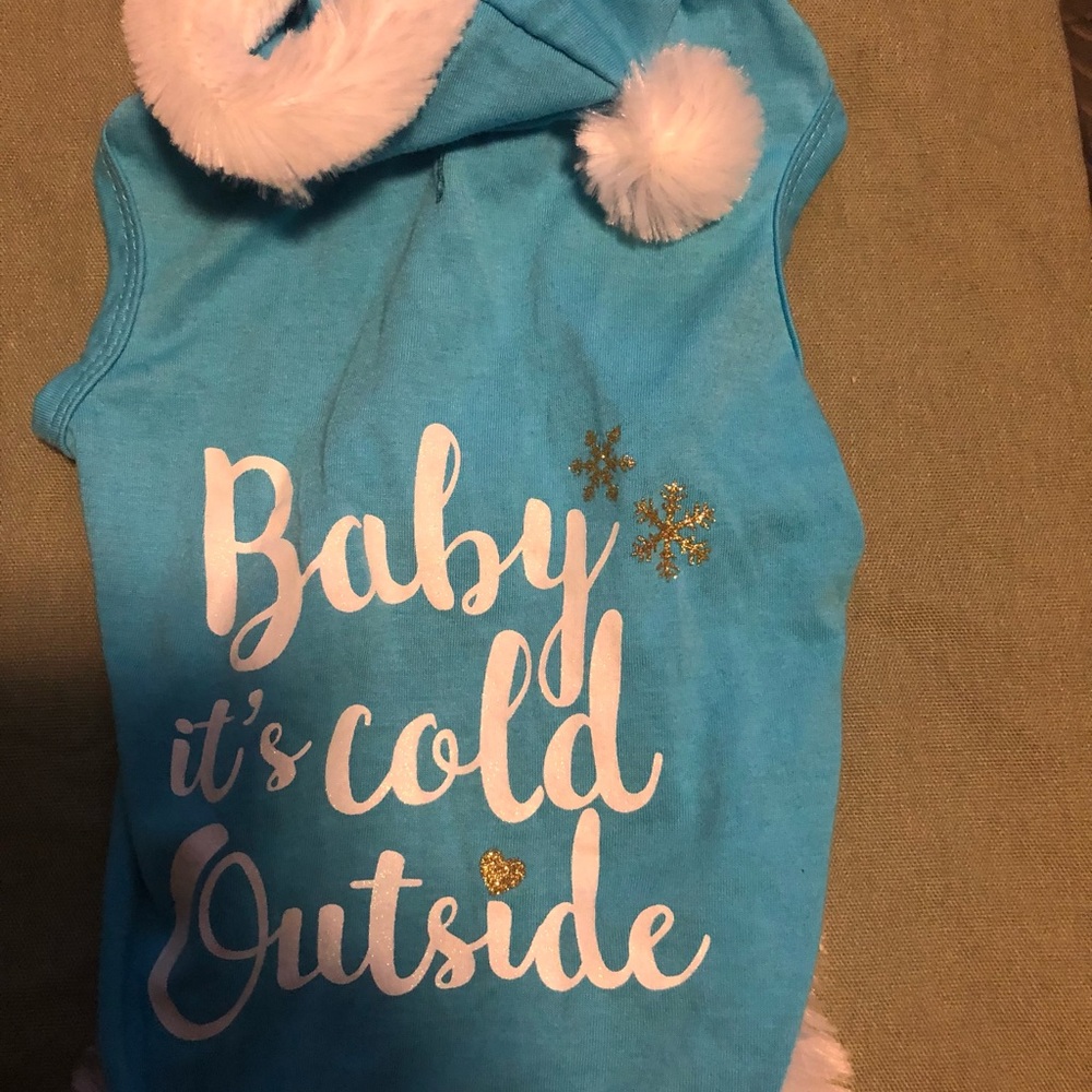 Holiday shirt with hoodie